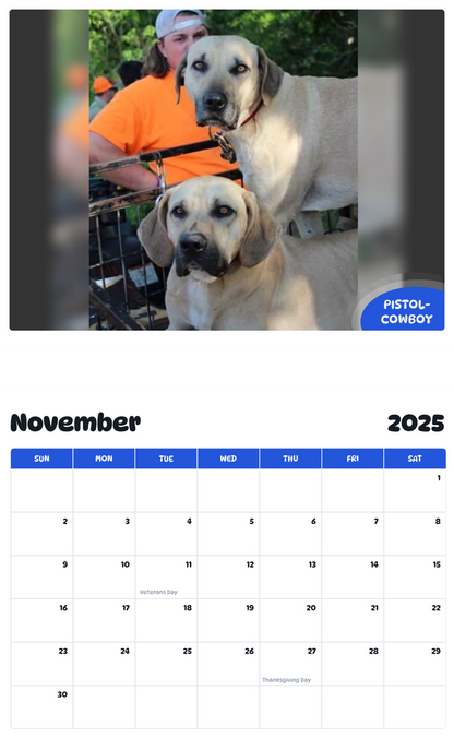July 2025 - June 2026 Pistol-cowboy - Pawidols Pet Calendar