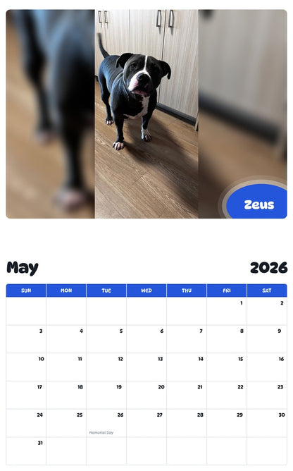 2026 - 2027 Zeus - Pawidols Pet Calendar