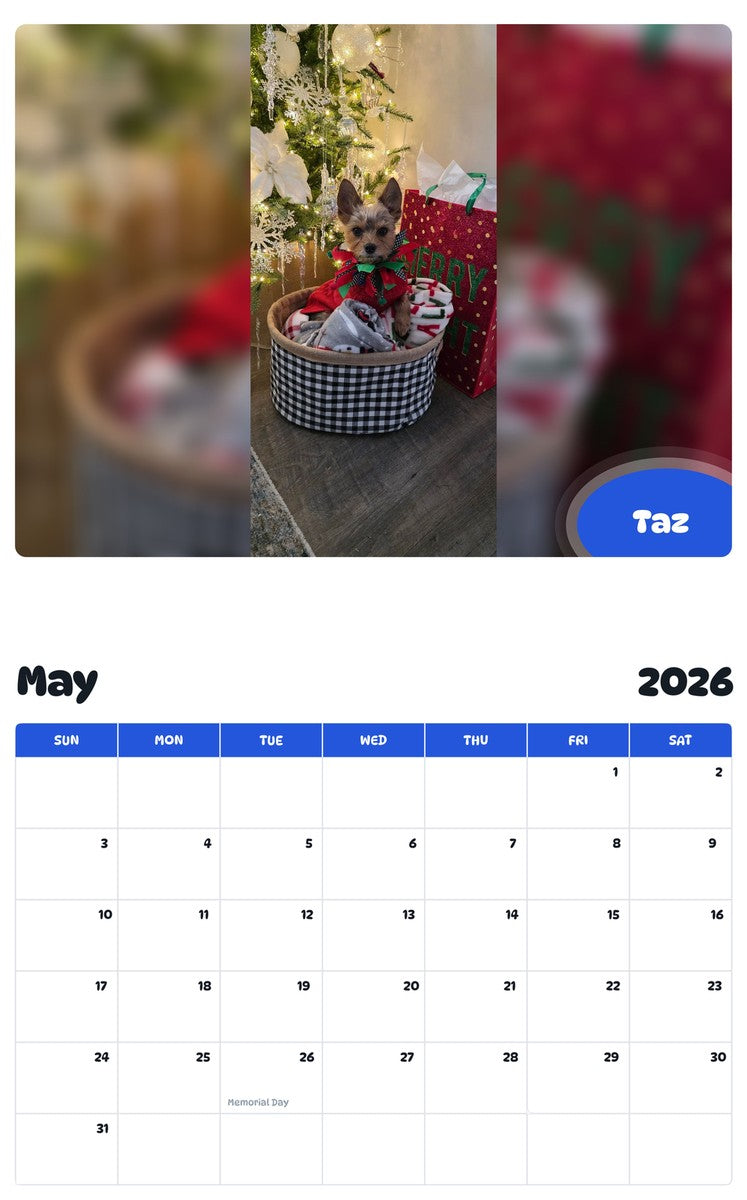 2026 - 2027 Taz - Pawidols Pet Calendar