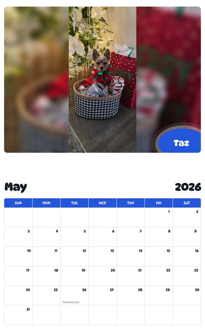 2026 - 2027 Taz - Pawidols Pet Calendar