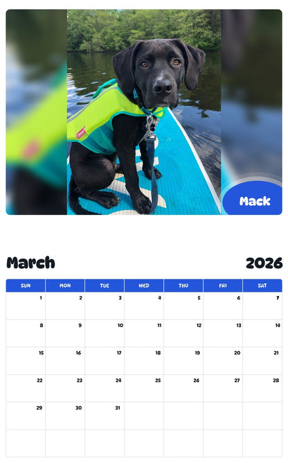 November 2025 - October 2026 Mack - Pawidols Pet Calendar