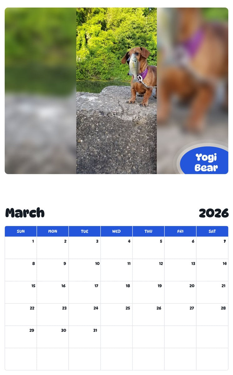 November 2025 - October 2026 Yogi Bear - Pawidols Pet Calendar