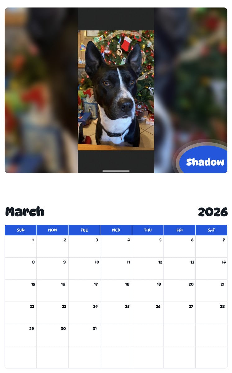 November 2025 - October 2026 Shadow - Pawidols Pet Calendar