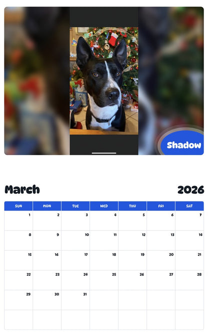 November 2025 - October 2026 Shadow - Pawidols Pet Calendar
