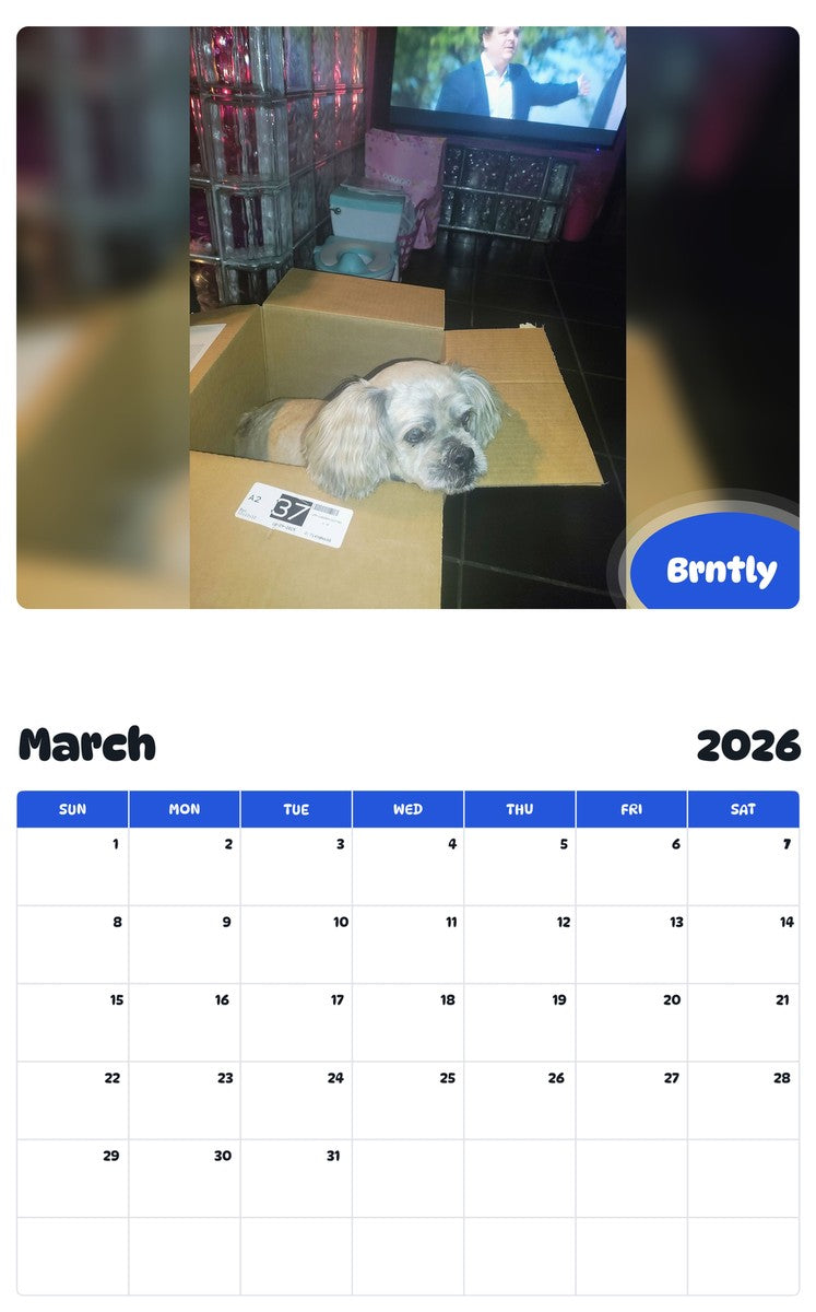November 2025 - October 2026 Brntly - Pawidols Pet Calendar