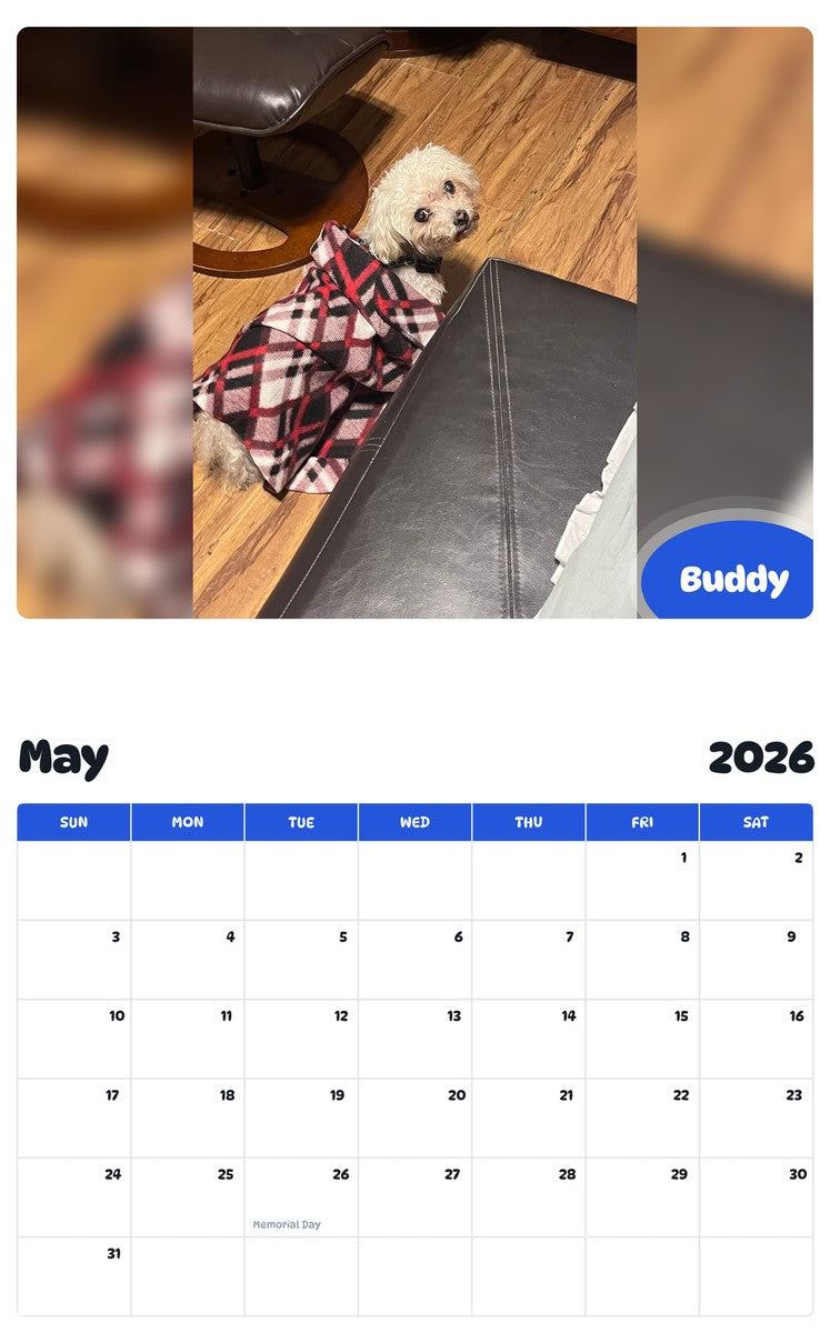 2026 - 2027 Buddy - Pawidols Pet Calendar