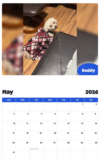 2026 - 2027 Buddy - Pawidols Pet Calendar