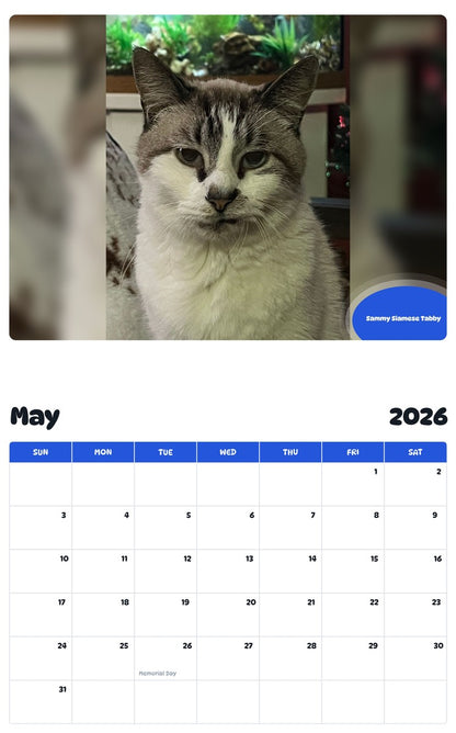 2026 - 2027 Sammy Siamese Tabby - Pawidols Pet Calendar