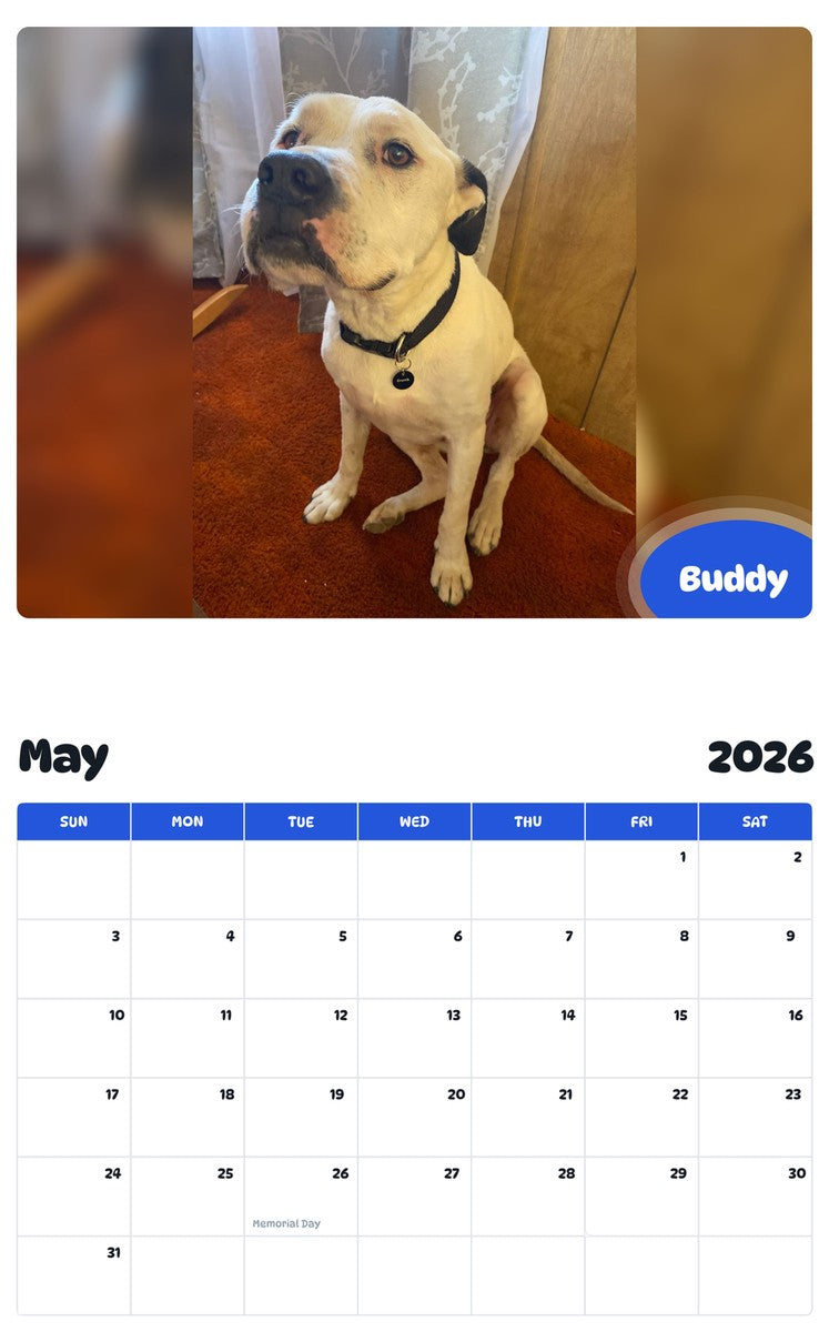 2026 - 2027 Buddy - Pawidols Pet Calendar