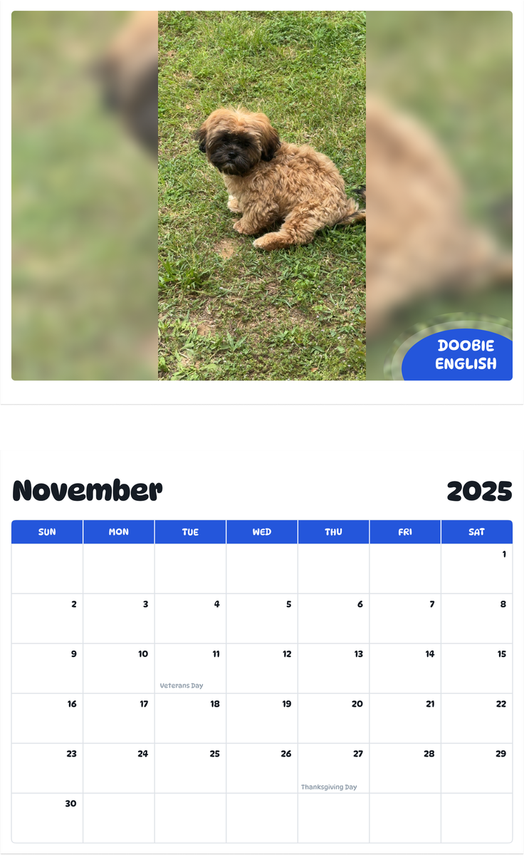 July 2025 - June 2026 Doobie English - Pawidols Pet Calendar