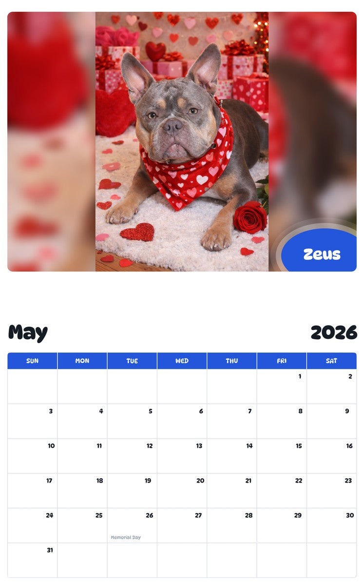 2026 - 2027 Zeus - Pawidols Pet Calendar