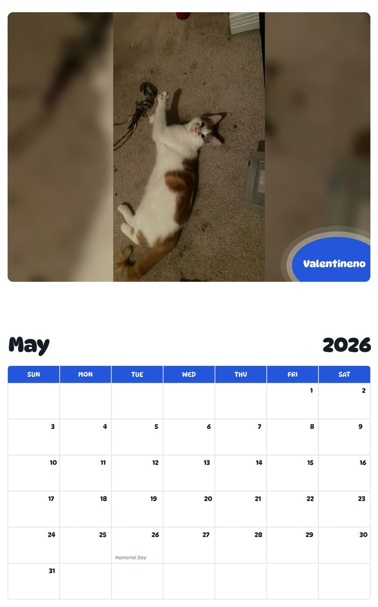 2026 - 2027 Valentineno - Pawidols Pet Calendar