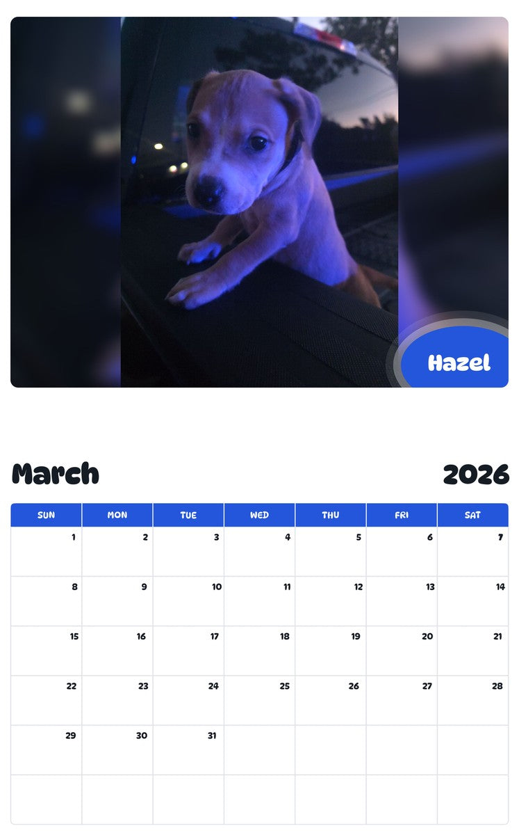 November 2025 - October 2026 Hazel - Pawidols Pet Calendar