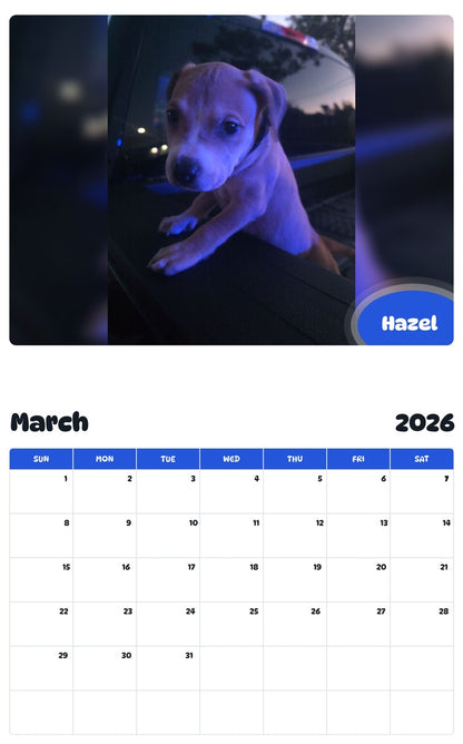 November 2025 - October 2026 Hazel - Pawidols Pet Calendar
