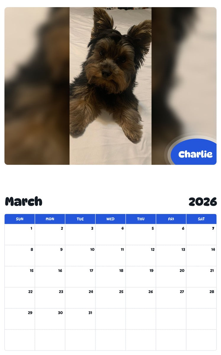 November 2025 - October 2026 Charlie - Pawidols Pet Calendar