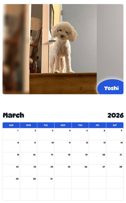 November 2025 - October 2026 Yoshi - Pawidols Pet Calendar