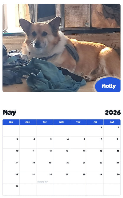 2026 - 2027 Molly - Pawidols Pet Calendar