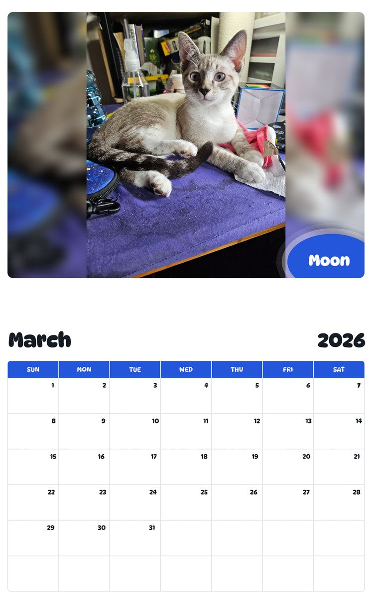 November 2025 - October 2026 Moon - Pawidols Pet Calendar