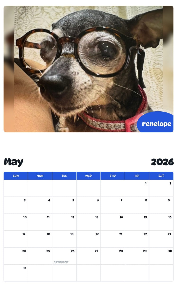 2026 - 2027 Penelope - Pawidols Pet Calendar