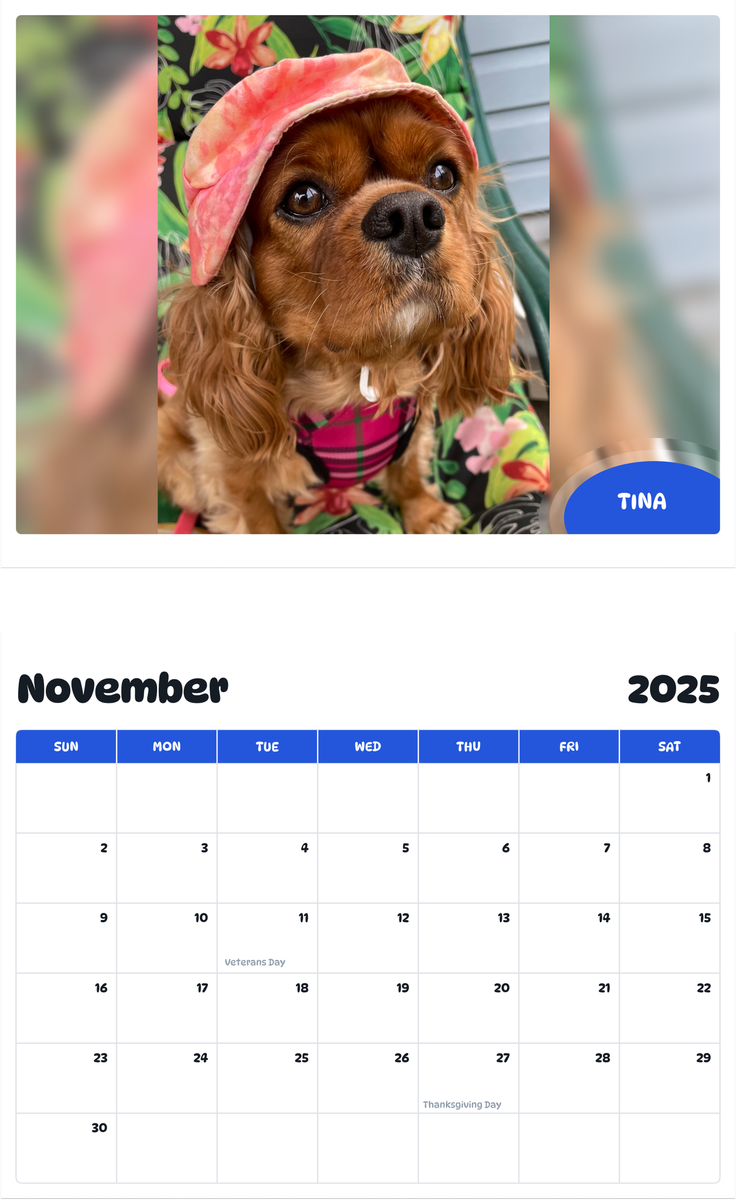 July 2025 - June 2026 Tina - Pawidols Pet Calendar