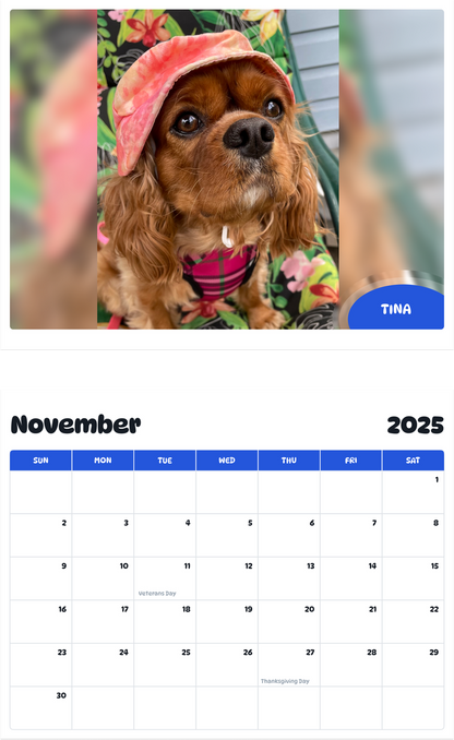 July 2025 - June 2026 Tina - Pawidols Pet Calendar