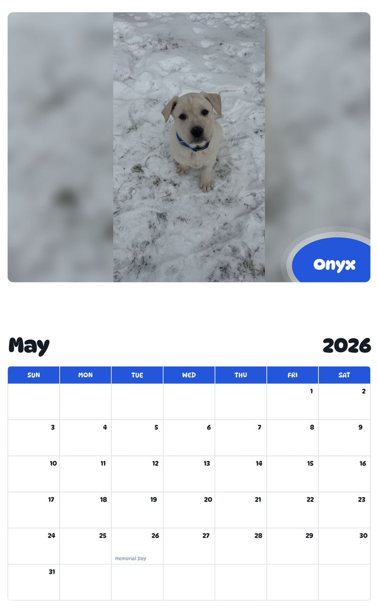 2026 - 2027 Onyx - Pawidols Pet Calendar
