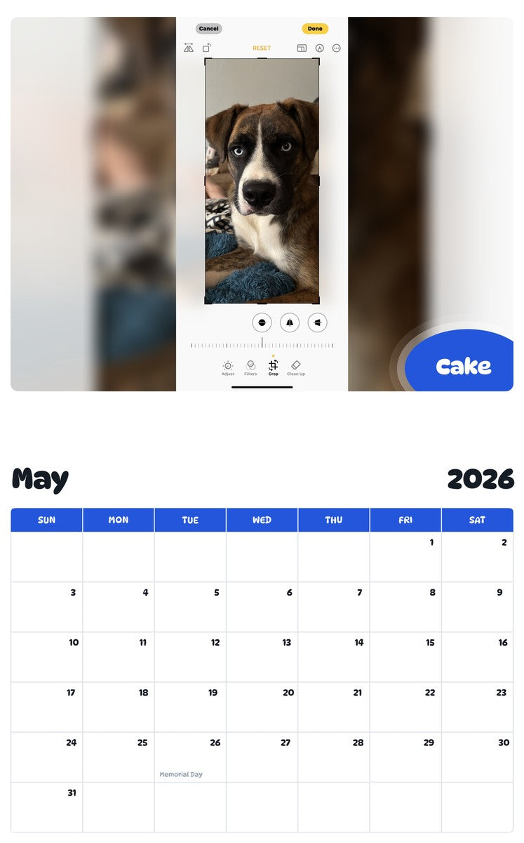 2026 - 2027 Cake - Pawidols Pet Calendar