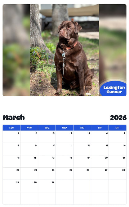 November 2025 - October 2026 Lexington Gunner - Pawidols Pet Calendar