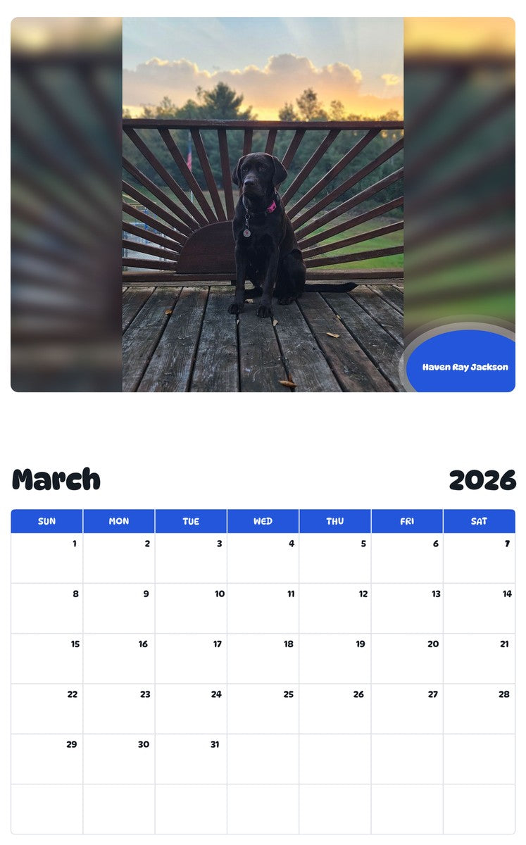 November 2025 - October 2026 Haven Ray Jackson - Pawidols Pet Calendar