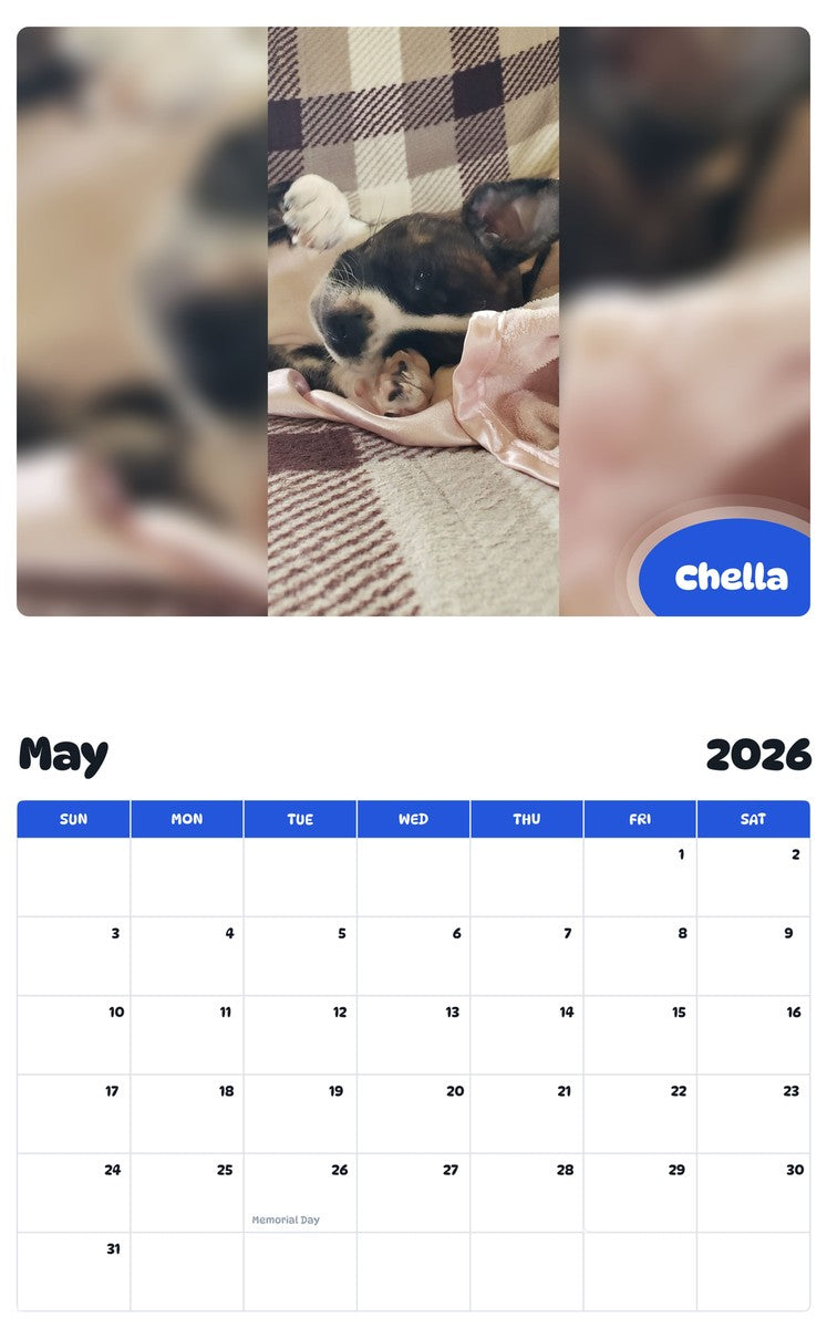 2026 - 2027 Chella - Pawidols Pet Calendar