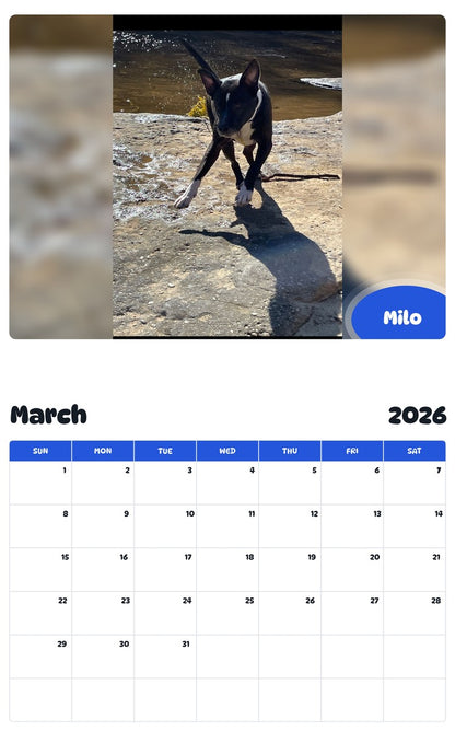 November 2025 - October 2026 Milo - Pawidols Pet Calendar