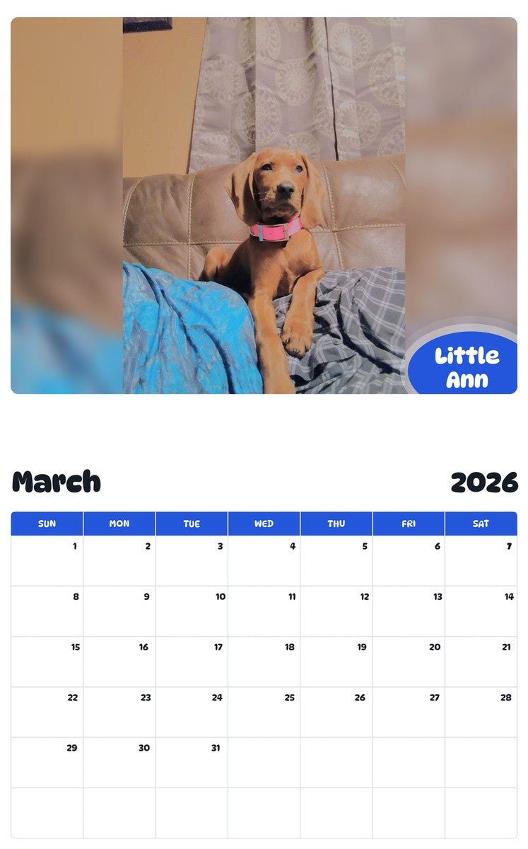 November 2025 - October 2026 Little Ann - Pawidols Pet Calendar