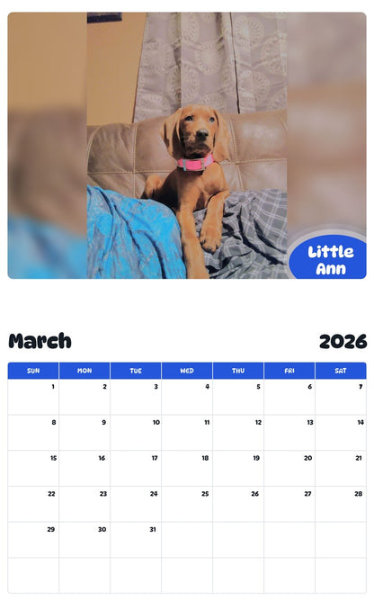 November 2025 - October 2026 Little Ann - Pawidols Pet Calendar