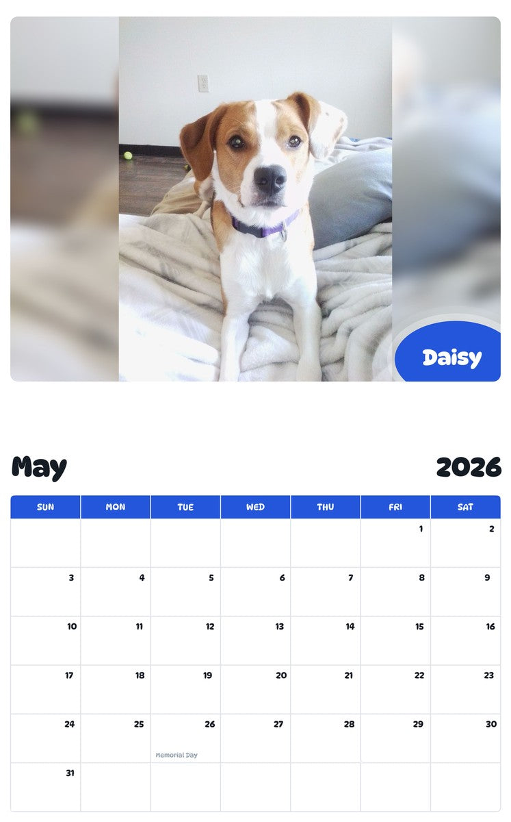 2026 - 2027 Daisy - Pawidols Pet Calendar