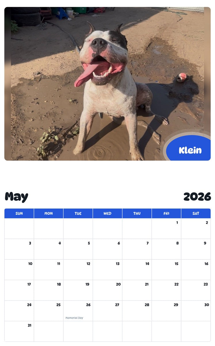 2026 - 2027 Klein - Pawidols Pet Calendar