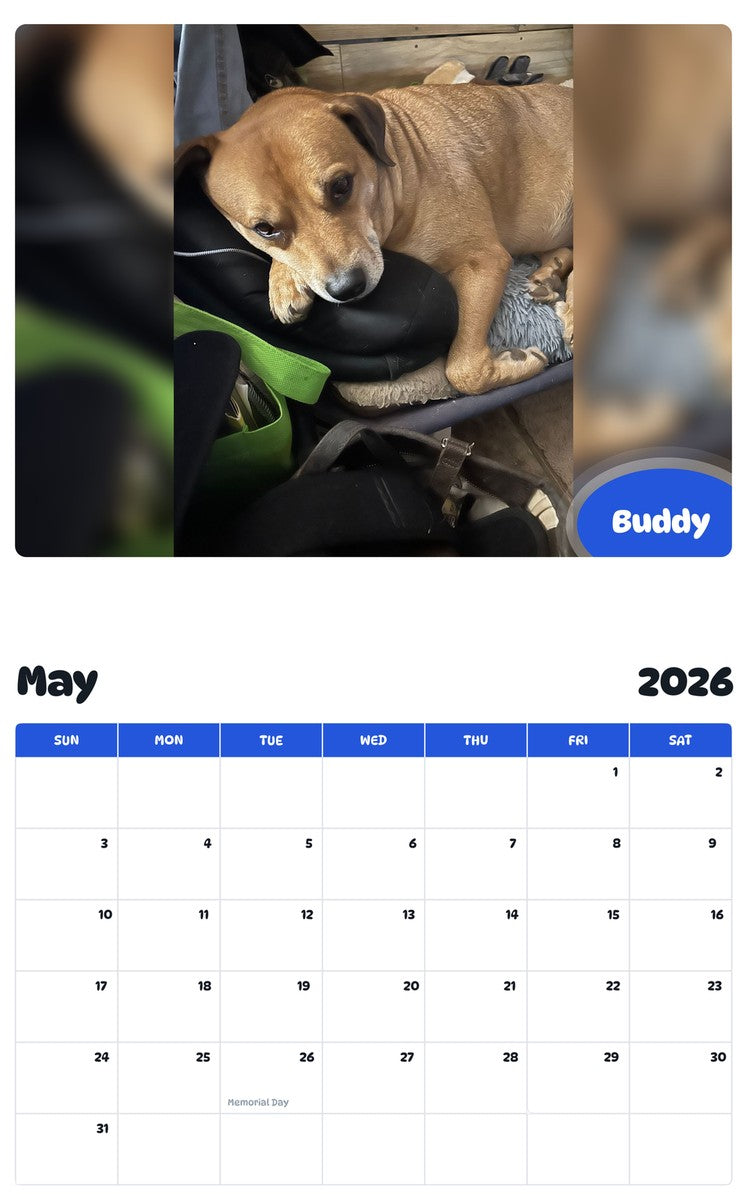 2026 - 2027 Buddy - Pawidols Pet Calendar