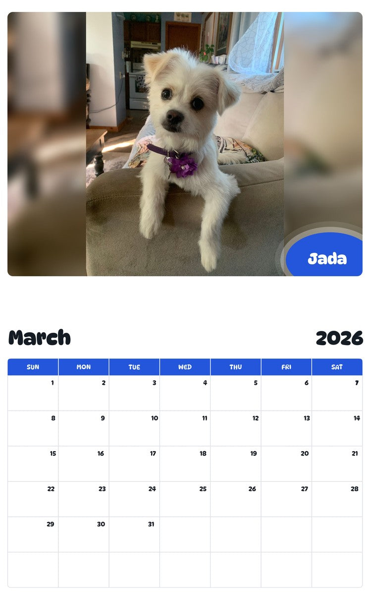 November 2025 - October 2026 Jada - Pawidols Pet Calendar