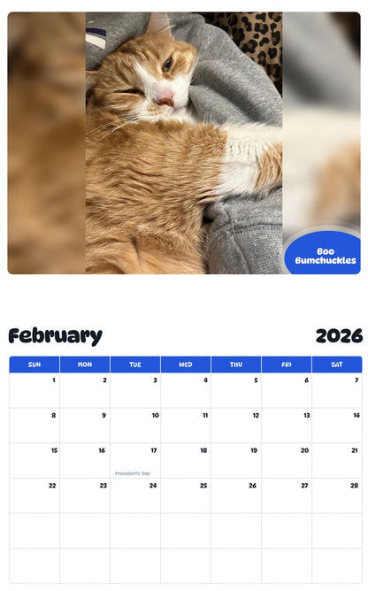 November 2025 - October 2026 Boo Bumchuckles - Pawidols Pet Calendar