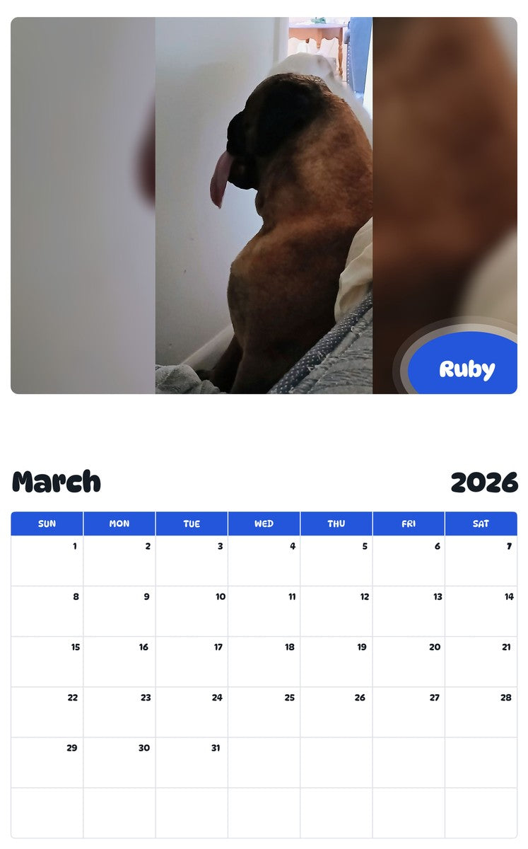November 2025 - October 2026 Ruby - Pawidols Pet Calendar