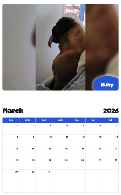 November 2025 - October 2026 Ruby - Pawidols Pet Calendar