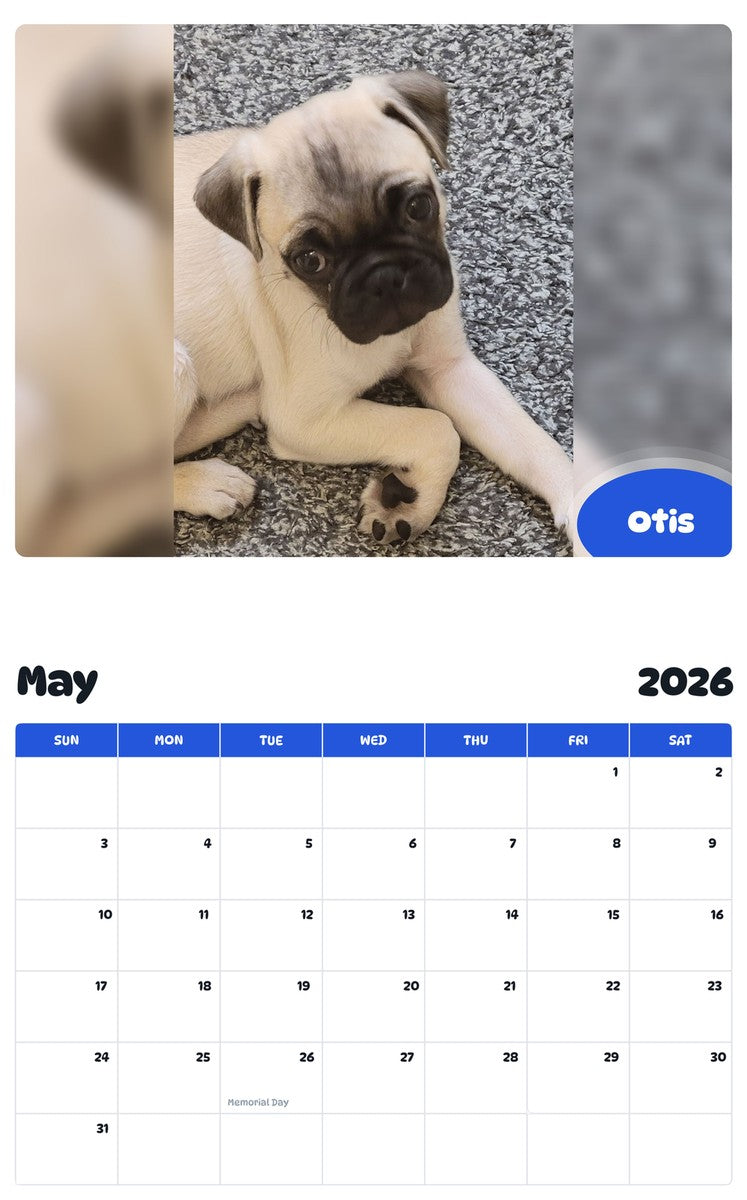 2026 - 2027 Otis - Pawidols Pet Calendar