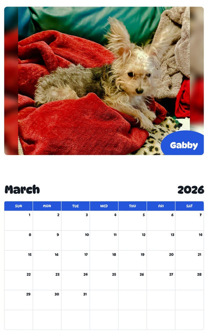 November 2025 - October 2026 Gabby - Pawidols Pet Calendar
