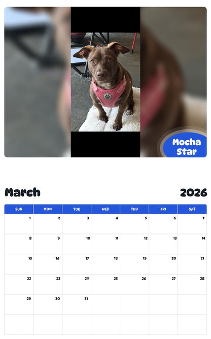 November 2025 - October 2026 Mocha Star - Pawidols Pet Calendar