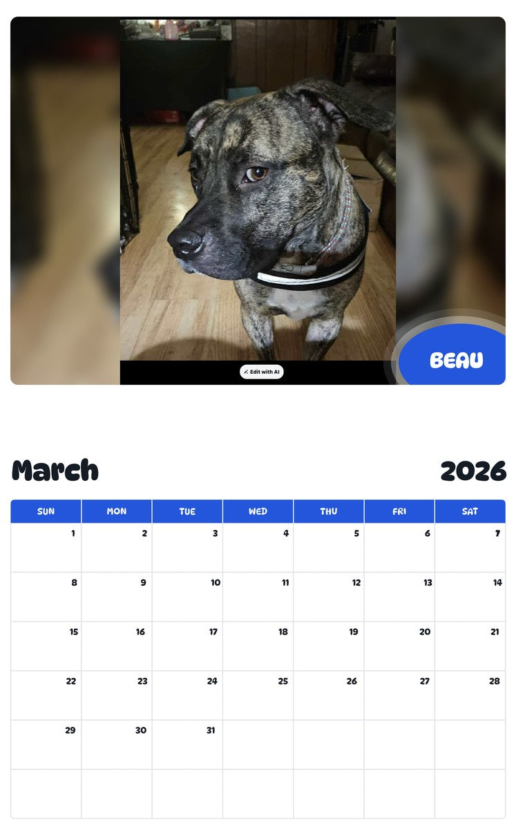 November 2025 - October 2026 BEAU - Pawidols Pet Calendar