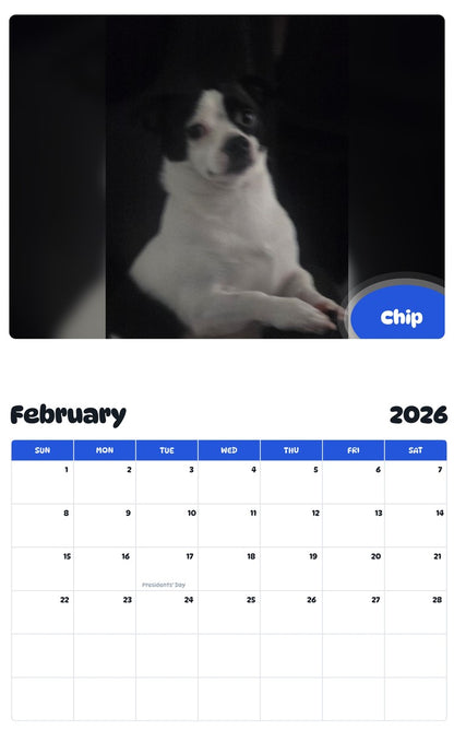 November 2025 - October 2026 Chip - Pawidols Pet Calendar