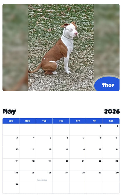 2026 - 2027 Thor - Pawidols Pet Calendar