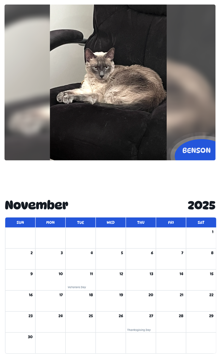 July 2025 - June 2026 Benson - Pawidols Pet Calendar