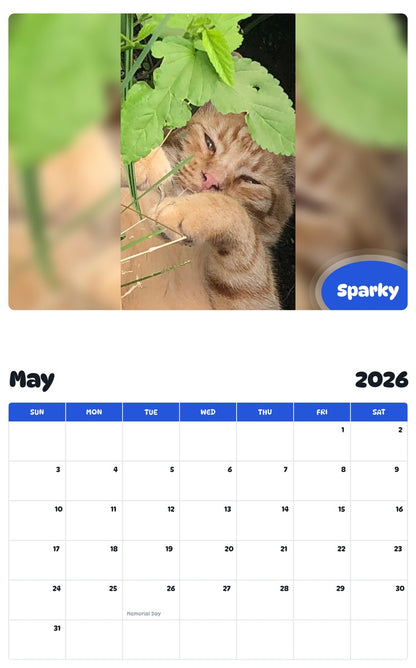 2026 - 2027 Sparky - Pawidols Pet Calendar