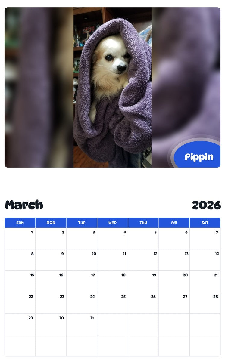 November 2025 - October 2026 Pippin - Pawidols Pet Calendar