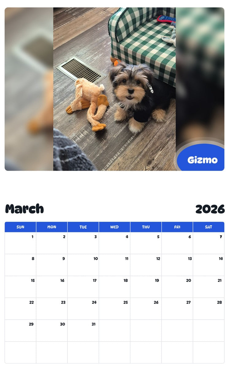 November 2025 - October 2026 Gizmo - Pawidols Pet Calendar